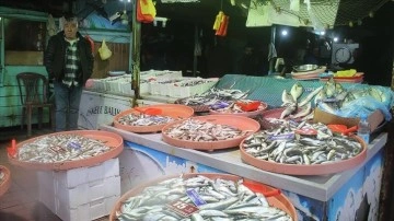 Zonguldak'ta fırtınada balıkçılar denize çıkamayınca balık tutarları arttı